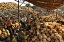 110214_36