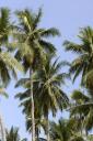 130130_58