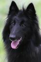 140628_08