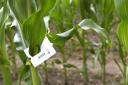 140625_01