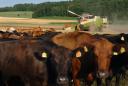 060719_02